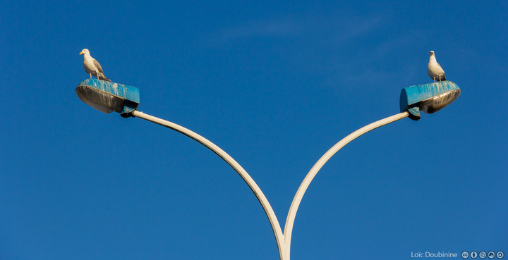 no description
https://www.flickr.com/photos/ztec/9321556585/