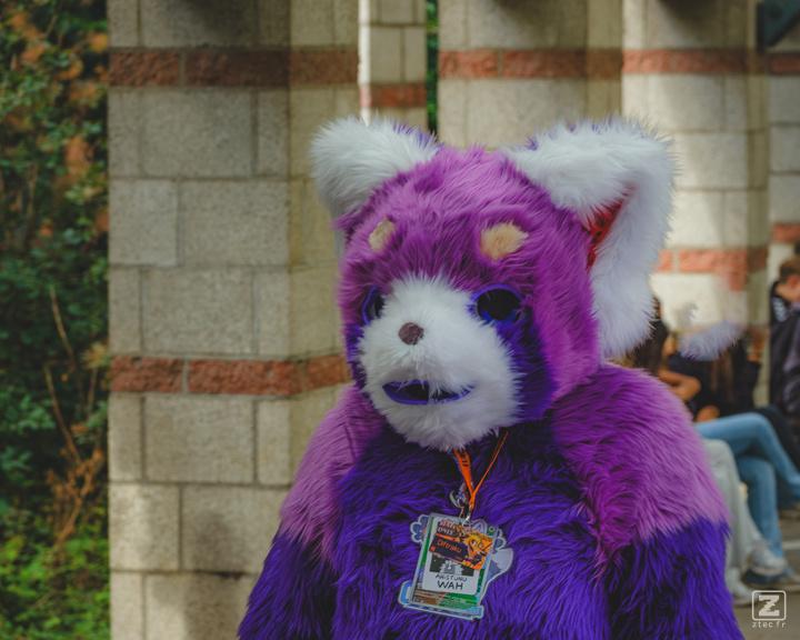Eurofurence 30 furry convention at Hamburg Germany