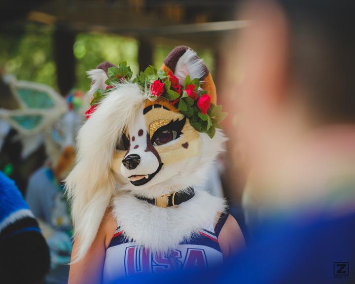 Eurofurence 30 furry convention at Hamburg Germany