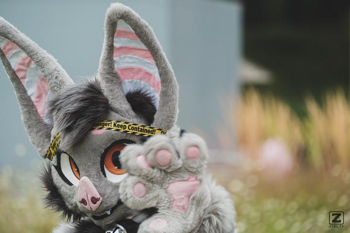 Eurofurence 30 furry convention at Hamburg Germany