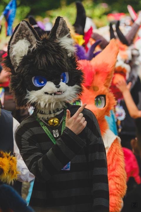 Eurofurence 30 furry convention at Hamburg Germany