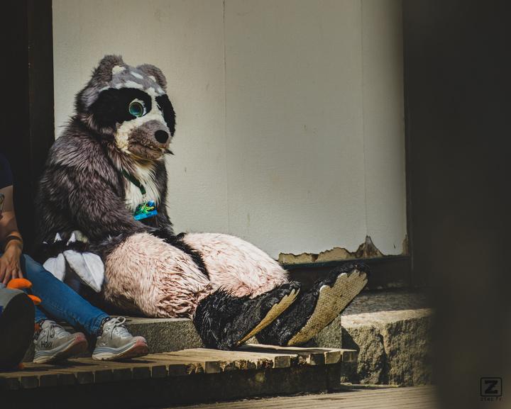 Eurofurence 30 furry convention at Hamburg Germany