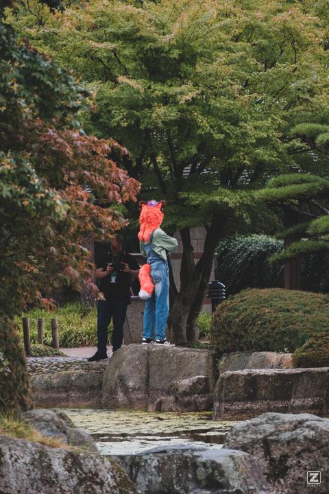 Eurofurence 30 furry convention at Hamburg Germany