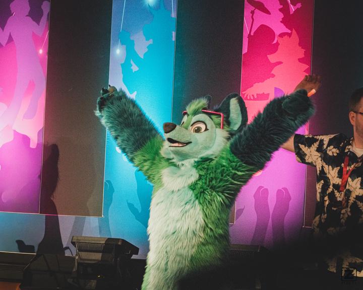 Eurofurence 30 furry convention at Hamburg Germany