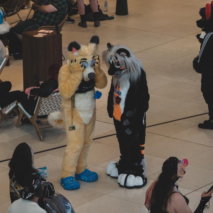 Eurofurence 30 furry convention at Hamburg Germany