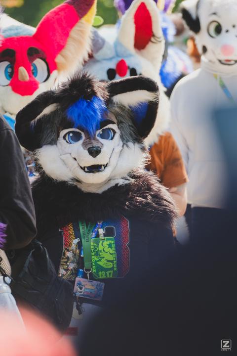 Eurofurence 30 furry convention at Hamburg Germany