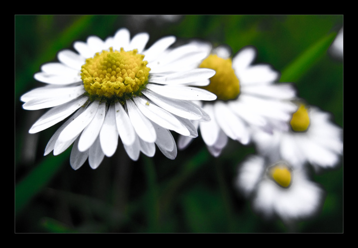 no description
https://www.flickr.com/photos/ztec/8433225421/
Albums: Nature