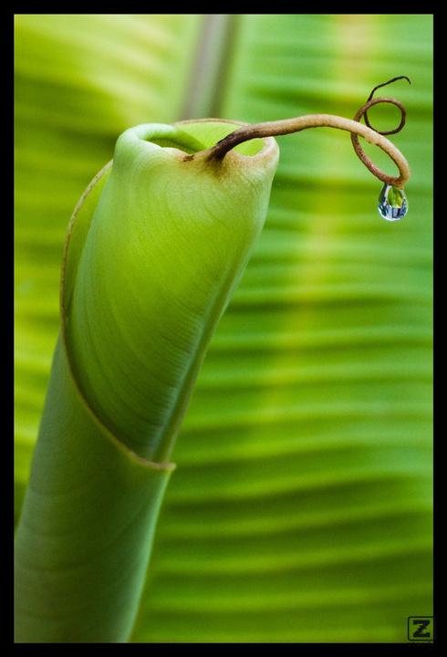 no description
https://www.flickr.com/photos/ztec/8434318236/
Albums: Nature