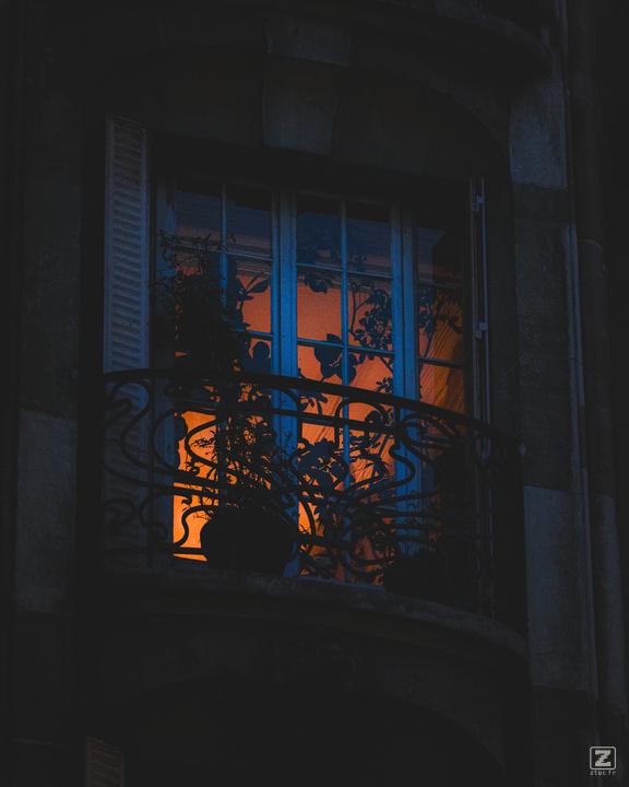 Parisian apartment lighten up in the morning, with plants silhouettes.