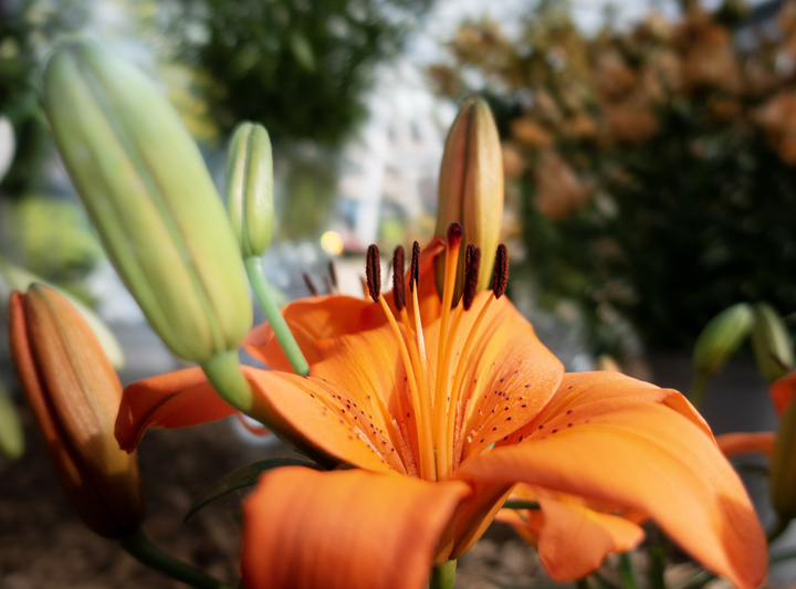 no description
https://www.flickr.com/photos/ztec/52504746346/