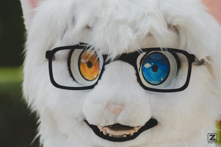 Eurofurence 30 furry convention at Hamburg Germany