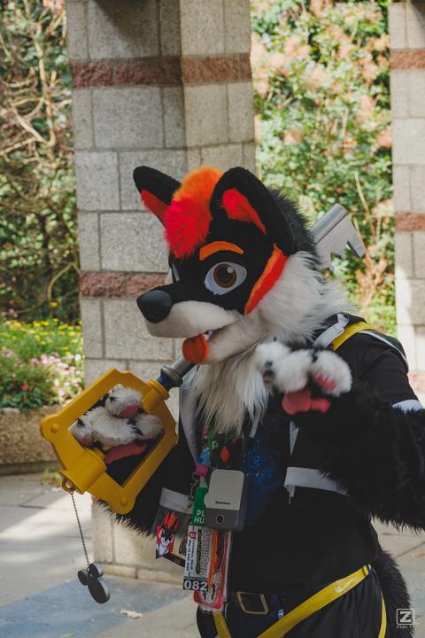 Eurofurence 30 furry convention at Hamburg Germany