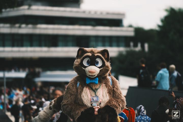 Eurofurence 30 furry convention at Hamburg Germany
