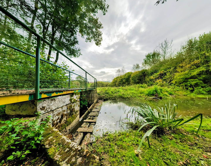 no description
https://www.flickr.com/photos/ztec/24859973898/