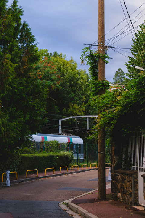 A train in a street, surrounded by lots of greenery.