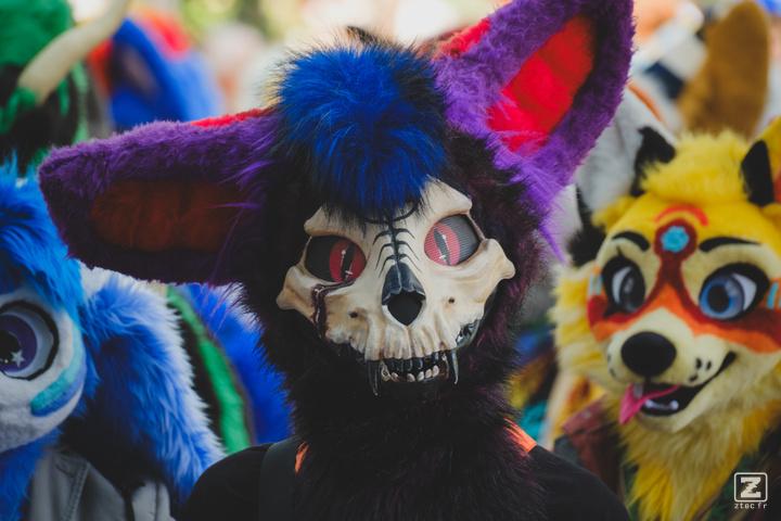 Eurofurence 30 furry convention at Hamburg Germany