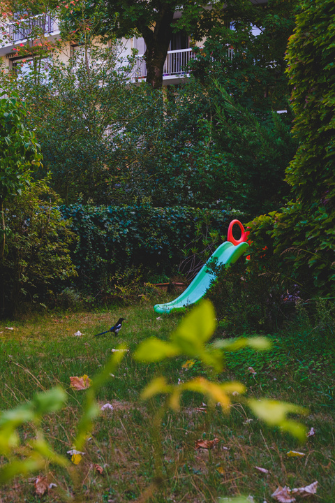 A bird in a garden with a slide for children on the back