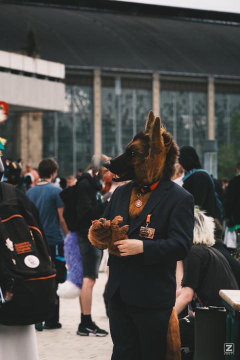 Eurofurence 30 furry convention at Hamburg Germany