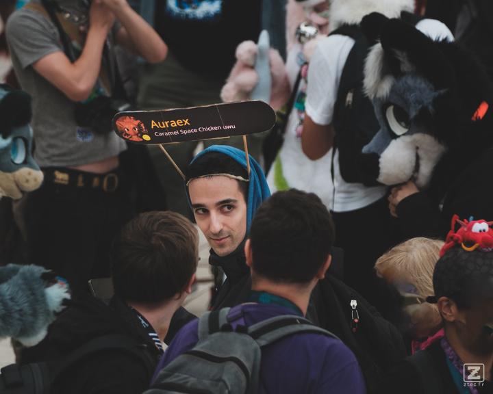 Eurofurence 30 furry convention at Hamburg Germany