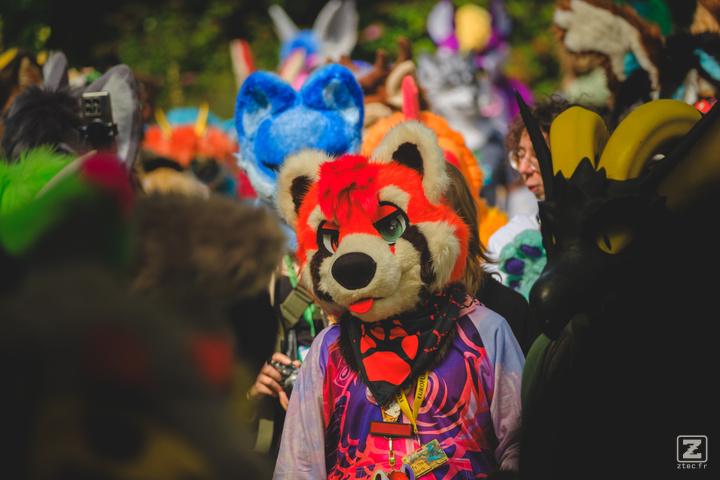 Eurofurence 30 furry convention at Hamburg Germany