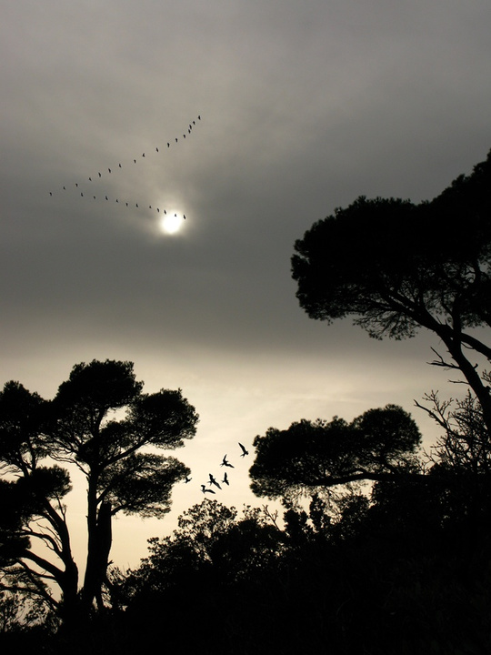 no description
https://www.flickr.com/photos/ztec/8433232207/
Albums: Nature