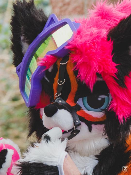 Eurofurence 30 furry convention at Hamburg Germany