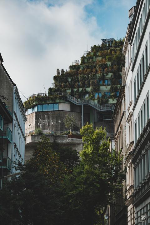 A bunker covered in plants and green.