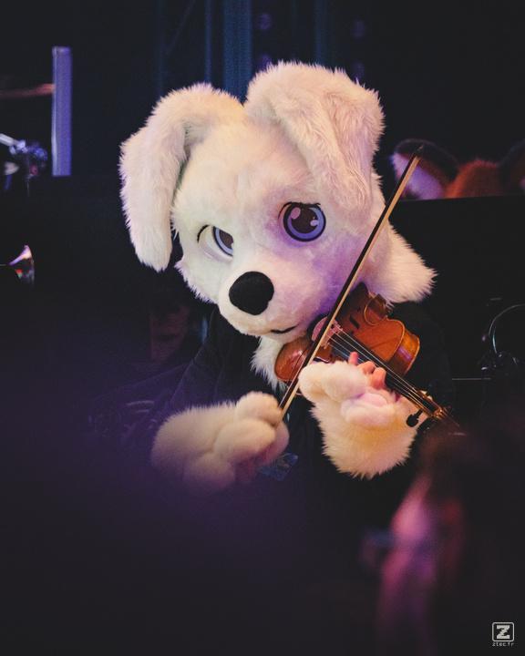Eurofurence 30 furry convention at Hamburg Germany