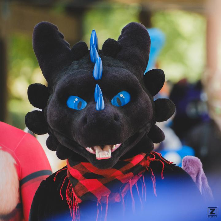 Eurofurence 30 furry convention at Hamburg Germany
