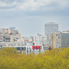 Paris roof top buildings in the nature with red window/balcony