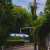 A train in a street, surrounded by lots of greenery.