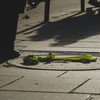 A branch of celery laying on the ground with someone standing next to it.