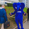 PostgreSQL mascot with "pat d'elph" 