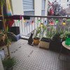 Martine enjoy her new spot on the balcony