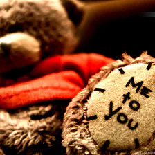 This litle bear is sitting in my cars since I have it. Try to find it if you came in one day :-)
https://www.flickr.com/photos/ztec/9569772955/