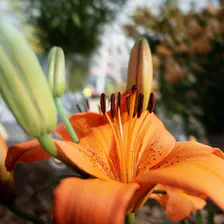 no description
https://www.flickr.com/photos/ztec/52504746346/