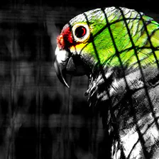 EXIF :
Canon EOS 60D
EF-S18-200mm f/3.5-5.6 IS
ƒ/6.3 200.0 mm 1/500 100 Flash (Éteint, non déclenché)
Make - Canon
Orientation - Horizontal (normal)
X-Resolution - 72 dpi
Y-Resolution - 72 dpi
Date and Time (Modified) - 2011:07:07 12:18:32
Artist - Loic
YCbCr Positioning - Co-sited
Copyright - Ztec
ISO Speed - 100
Sensitivity Type - Recommended Exposure Index
Recommended Exposure Index - 100
Sensitivity Type - Recommended Exposure Index
Recommended Exposure Index - 100
Exif Version - 0230
Date and Time (Original) - 2011:07:07 12:18:32
Date and Time (Digitized) - 2011:07:07 12:18:32
Components Configuration - Y, Cb, Cr, -
Exposure Bias - 0 EV
Metering Mode - Partial
Sub Sec Time - 96
Sub Sec Time Original - 96
Sub Sec Time Digitized - 96
Flashpix Version - 0100
Color Space - sRGB
Focal Plane X-Resolution - 5728.176796
Focal Plane Y-Resolution - 5808.403361
Focal Plane Resolution Unit - inches
Custom Rendered - Normal
Exposure Mode - Auto
White Balance - Auto
Scene Capture Type - Standard
Lens Info - 18-200mm f/?
Lens Model - EF-S18-200mm f/3.5-5.6 IS
Lens Serial Number - 000049aa0b
Macro Mode - Normal
Self Timer - Off
Quality - Fine
Canon Flash Mode - Off
Continuous Drive - Continuous, High
Focus Mode - AI Focus AF
Record Mode - JPEG
Canon Image Size - Large
Easy Mode - Manual
Digital Zoom - None
Contrast - Normal
Saturation - Normal
Metering Mode - Partial
Focus Range - Not Known
Canon Exposure Mode - Aperture-priority AE
Lens Type - Canon EF-S 18-200mm f/3.5-5.6 IS
Max Focal Length - 200 mm
Min Focal Length - 18 mm
Focal Units - 1/mm
Max Aperture - 5.7
Min Aperture - 36
Flash Activity - 0
Flash Bits - (none)
Zoom Source Width - 0
Zoom Target Width - 0
Manual Flash Output - n/a
Color Tone - Normal
Auto ISO - 100
Base ISO - 100
Measured EV - 14.25
Target Aperture - 6.3
Target Exposure Time - 1/512
White Balance - Auto
Slow Shutter - None
Sequence Number - 0
Optical Zoom Code - n/a
Camera Temperature - 27 C
Flash Guide Number - 0
Flash Exposure Comp - 0
Auto Exposure Bracketing - Off
AEBBracket Value - 0
Control Mode - n/a
Measured EV2 - 13.625
Bulb Duration - 0
Camera Type - EOS High-end
NDFilter - n/a
Canon Image Type - Canon EOS 60D
Canon Firmware Version - Firmware Version 1.1.0
Serial Number - 2281222681
Camera Orientation - Horizontal (normal)
Focus Distance Upper - 1.36 m
Focus Distance Lower - 1.16 m
Color Temperature - 5200
Firmware Version - 1.1.0
File Index - 406
Directory Index - 100
Contrast Standard - 0
Sharpness Standard - 3
Saturation Standard - 0
Color Tone Standard - 0
Contrast Portrait - 0
Sharpness Portrait - 2
Saturation Portrait - 0
Color Tone Portrait - 0
Contrast Landscape - 0
Sharpness Landscape - 4
Saturation Landscape - 0
Color Tone Landscape - 0
Contrast Neutral - 0
Sharpness Neutral - 0
Saturation Neutral - 0
Color Tone Neutral - 0
Contrast Faithful - 0
Sharpness Faithful - 0
Saturation Faithful - 0
Color Tone Faithful - 0
Contrast Monochrome - 0
Sharpness Monochrome - 3
Filter Effect Monochrome - None
Toning Effect Monochrome - None
Contrast Auto - 0
Sharpness Auto - 0
Saturation Auto - 0
Color Tone Auto - 0
Filter Effect Auto - None
Toning Effect Auto - None
Contrast User Def1 - 0
Sharpness User Def1 - 3
Saturation User Def1 - 0
Color Tone User Def1 - 0
Filter Effect User Def1 - None
Toning Effect User Def1 - None
Contrast User Def2 - 0
Sharpness User Def2 - 3
Saturation User Def2 - 0
Color Tone User Def2 - 0
Filter Effect User Def2 - None
Toning Effect User Def2 - None
Contrast User Def3 - 0
Sharpness User Def3 - 3
Saturation User Def3 - 0
Color Tone User Def3 - 0
Filter Effect User Def3 - None
Toning Effect User Def3 - None
User Def1 Picture Style - Standard
User Def2 Picture Style - Standard
User Def3 Picture Style - Standard
Canon Model ID - EOS 60D
Thumbnail Image Valid Area - 0 159 7 112
AFArea Mode - Multi-point AF or AI AF
Num AFPoints - 9
Valid AFPoints - 9
Canon Image Width - 5184
Canon Image Height - 3456
AFImage Width - 5184
AFImage Height - 3456
AFArea Widths - 108 88 88 88 129 88 88 88 108
AFArea Heights - 86 107 107 107 131 107 107 107 86
AFArea XPositions - 0 -860 860 -136