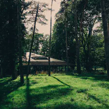 Wooden cabin partially hidden in a forest, surrounded by tall trees, with sunlight filtering through the leaves
https://www.flickr.com/photos/ztec/53919196784/
Albums: www