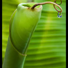 no description
https://www.flickr.com/photos/ztec/8434318236/
Albums: Nature