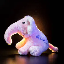 no description
https://www.flickr.com/photos/ztec/35090212975/
Albums: Php