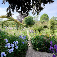 A garden with lots of flower in the style of the painter Monet. It is actually the Monet's garden in france !