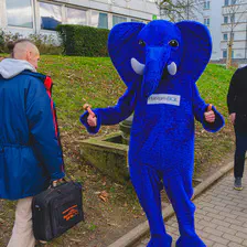 PostgreSQL mascot with "pat d'elph" 