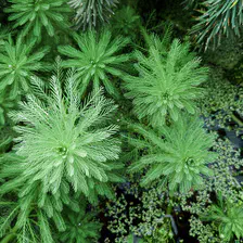 no description
https://www.flickr.com/photos/ztec/52505113115/