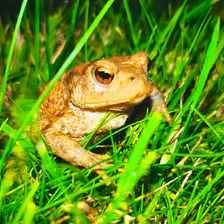 no description
https://www.flickr.com/photos/ztec/26956736209/