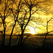 Vue de l'A6 près de Paris
https://www.flickr.com/photos/ztec/8433231783/
Albums: Nature