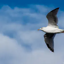 no description
https://www.flickr.com/photos/ztec/10546663704/