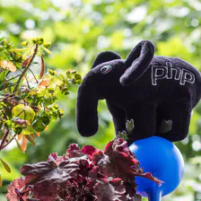 no description
https://www.flickr.com/photos/ztec/34280041423/
Albums: Php