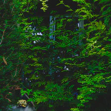A window hidden behind green leafs. On the bottom left, a gargoyle is laying with arms crossed, smiling. 