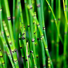 no description
https://www.flickr.com/photos/ztec/28944801873/