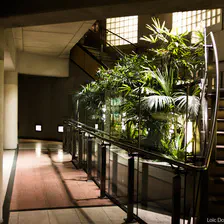 Oasis is good enough to be placed underground in the subway pedestrians tunnels. Feel free to folow the emergency exi to the underground forest !
https://www.flickr.com/photos/ztec/8942658037/
Albums: Nature